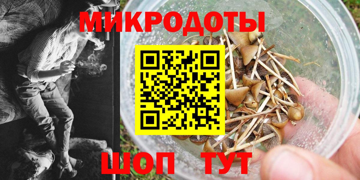 Галлюциногенные грибы GOLDEN TEACHER  Вход с VPN  Обнинск 