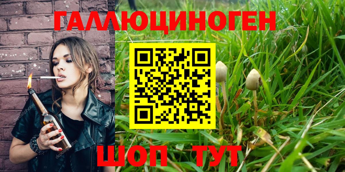 Псилоцибиновые грибы ЛСД Обнинск
